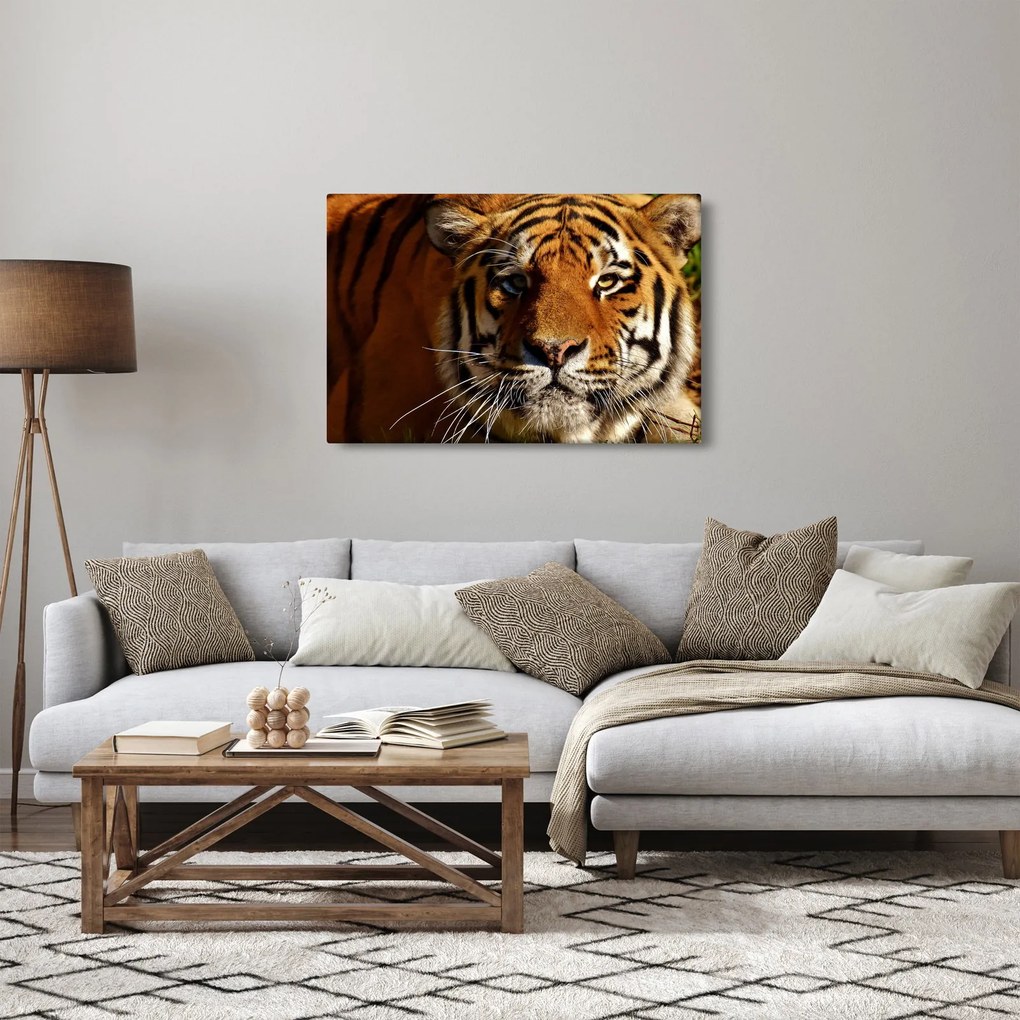Tablou cu tigrul (90x60 cm)