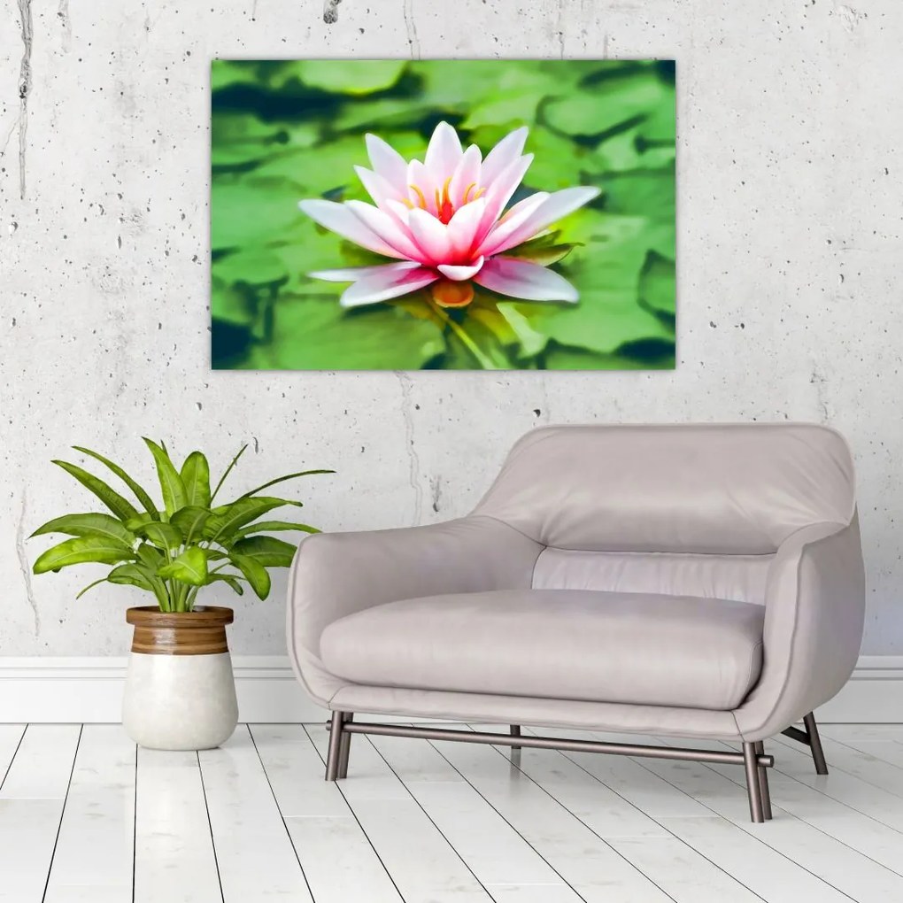 Tablou - Nuferi pe apă (90x60 cm)