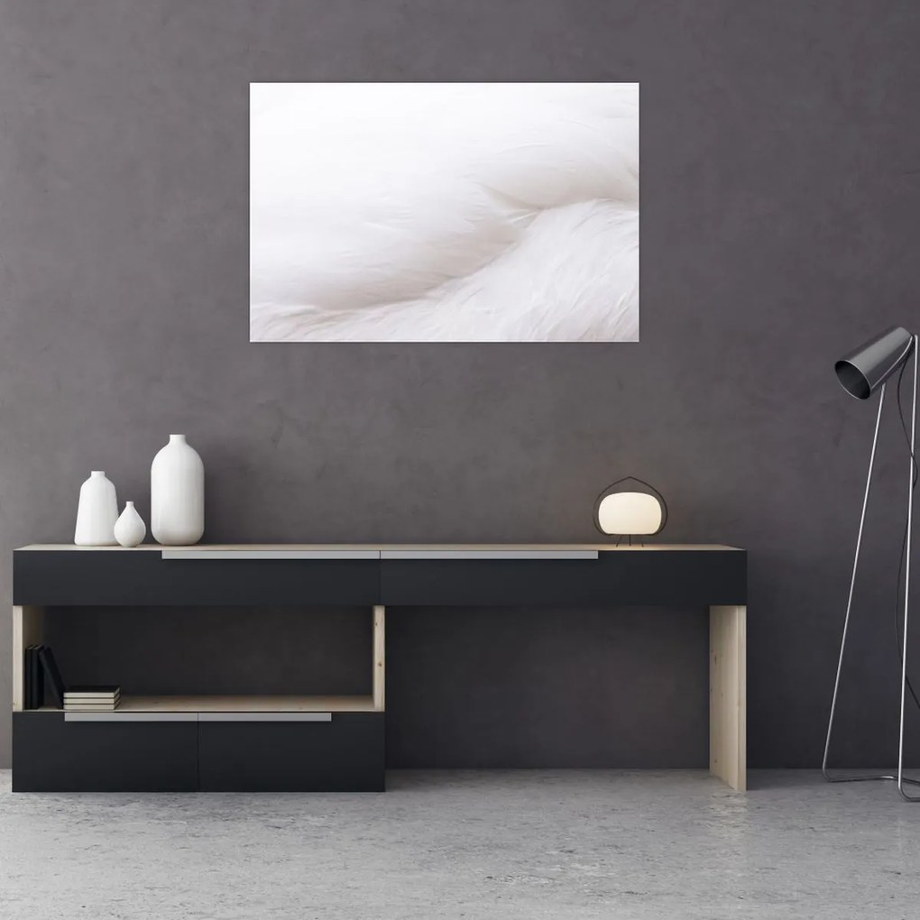 Tablou - Pană albă (90x60 cm)