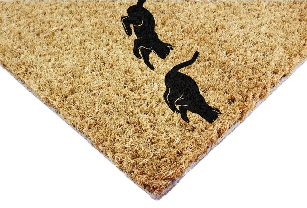 Covoraș de intrare din fibre de nucă de cocos 40x60 cm Jumping Cats – Artsy Doormats