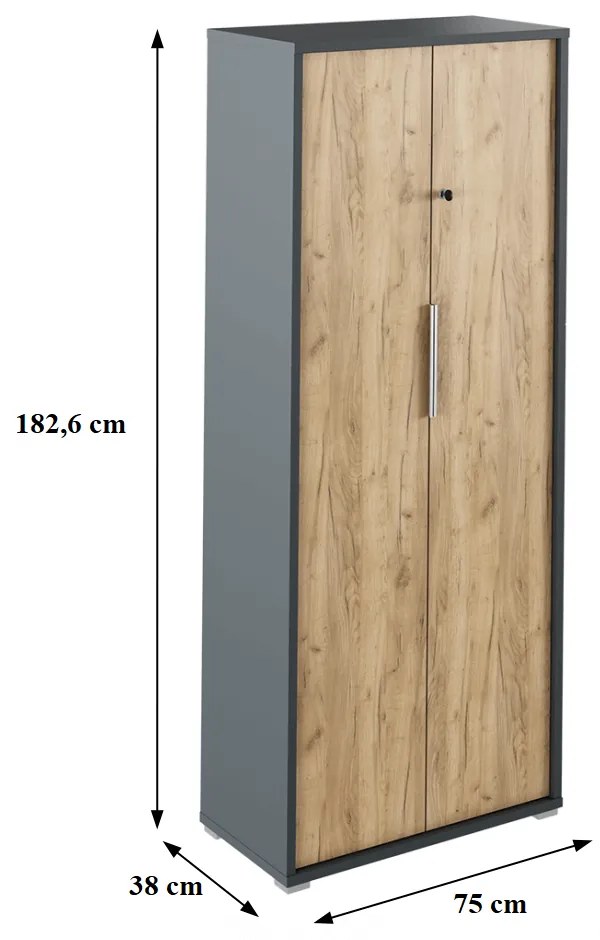 Dulap cu lacăt, grafit / stejar artizanal, RIOMA NEW TYP 31