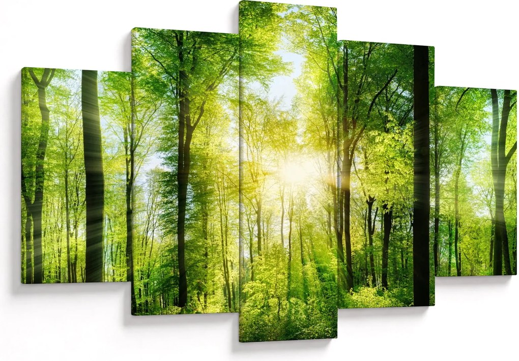 Tablou - Răsărit în pădure (150x105 cm)