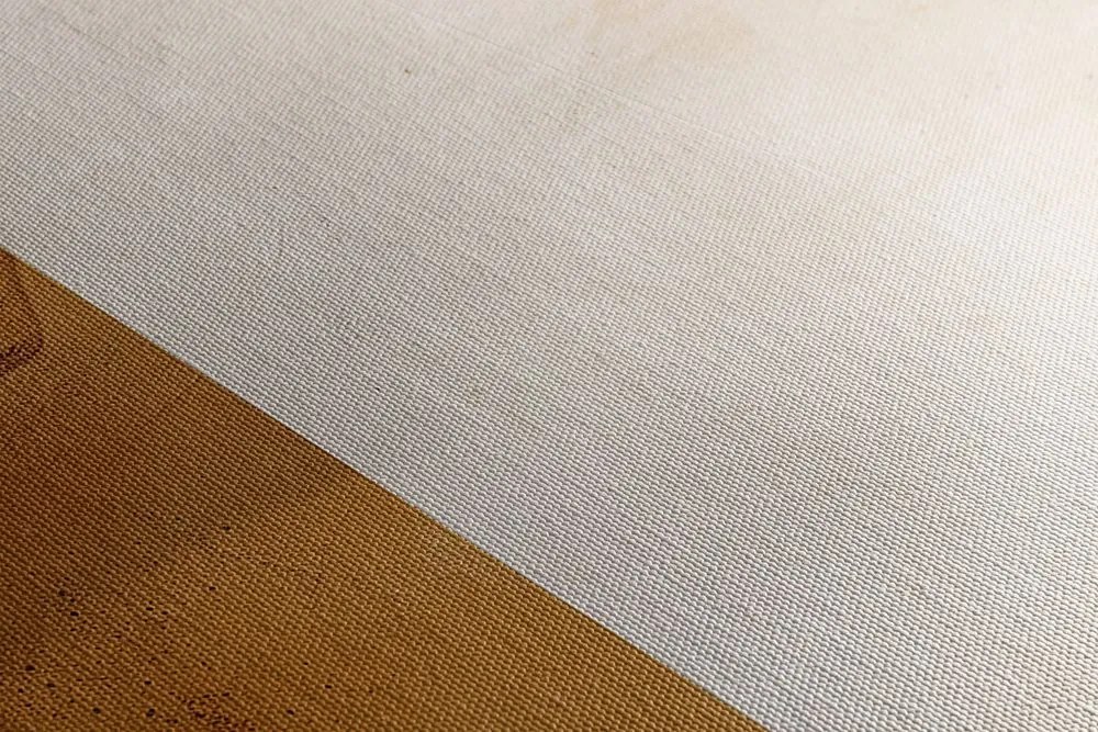 Tablou japandi în design modern