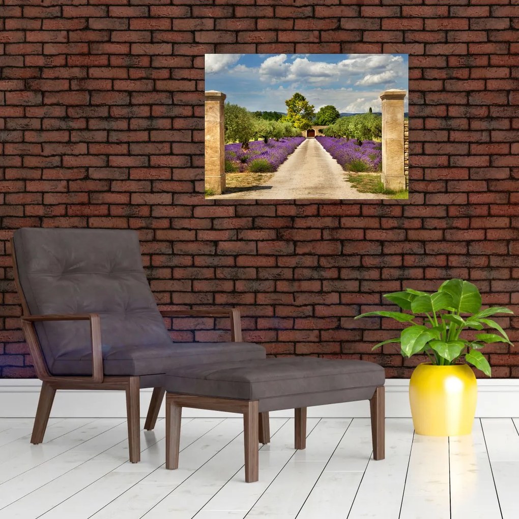 Tablou - Căi de lavandă (70x50 cm)