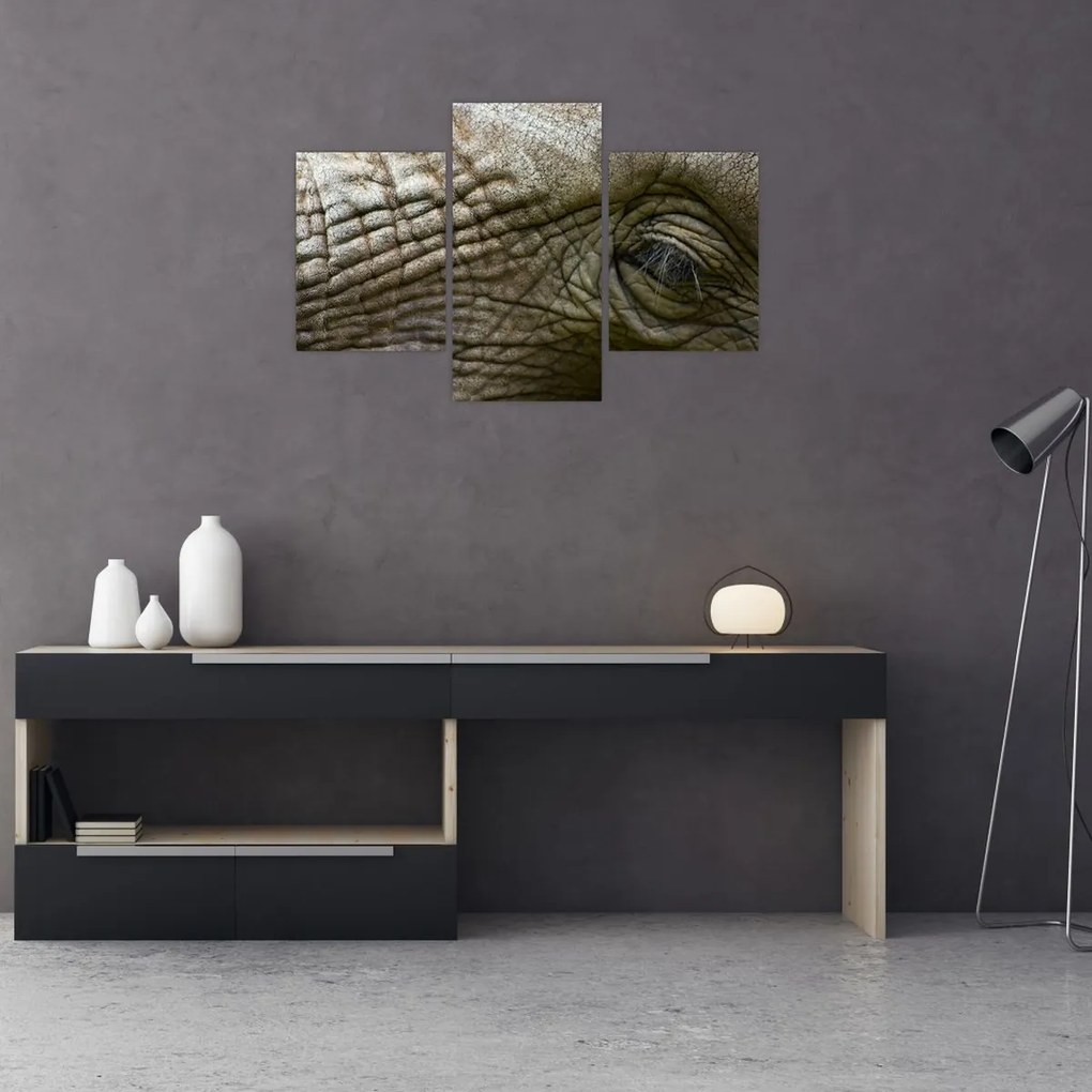 Tablou - Prim-planul ochiului de elefant vechi (90x60 cm)