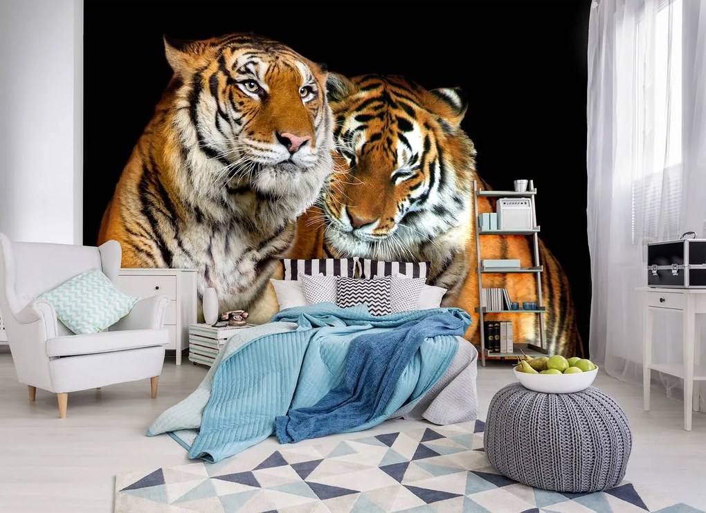 Fototapet - Tigri (152,5x104 cm)