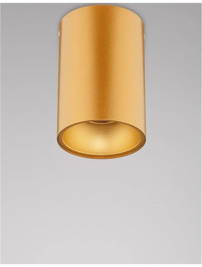 Spot aplicat tavan / plafon design modern minimalist NIDO auriu