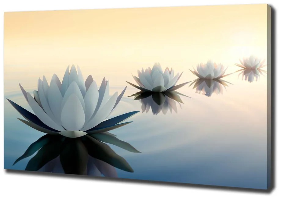 Pictură pe pânză Flori de lotus