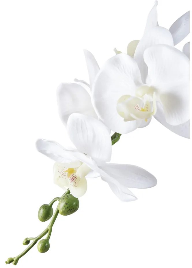 Orchidea műnövény, zöld/fehér 49 cm