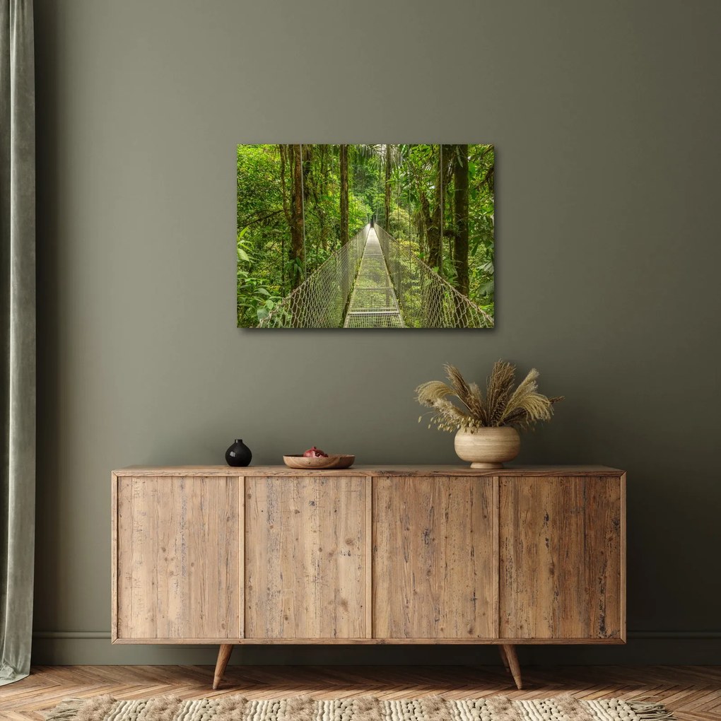 Tablou - Pod suspendat (70x50 cm)