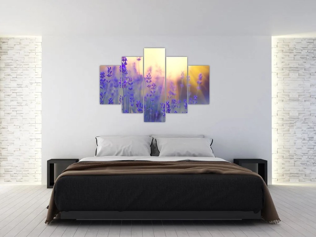 Tablou - Levănțică (150x105 cm)