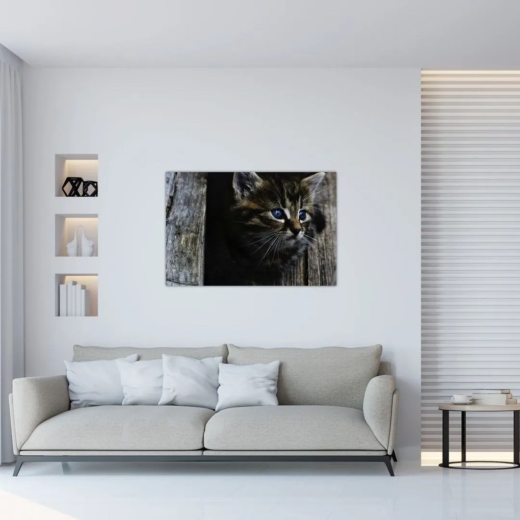 Tablou cu pisicuța (90x60 cm)