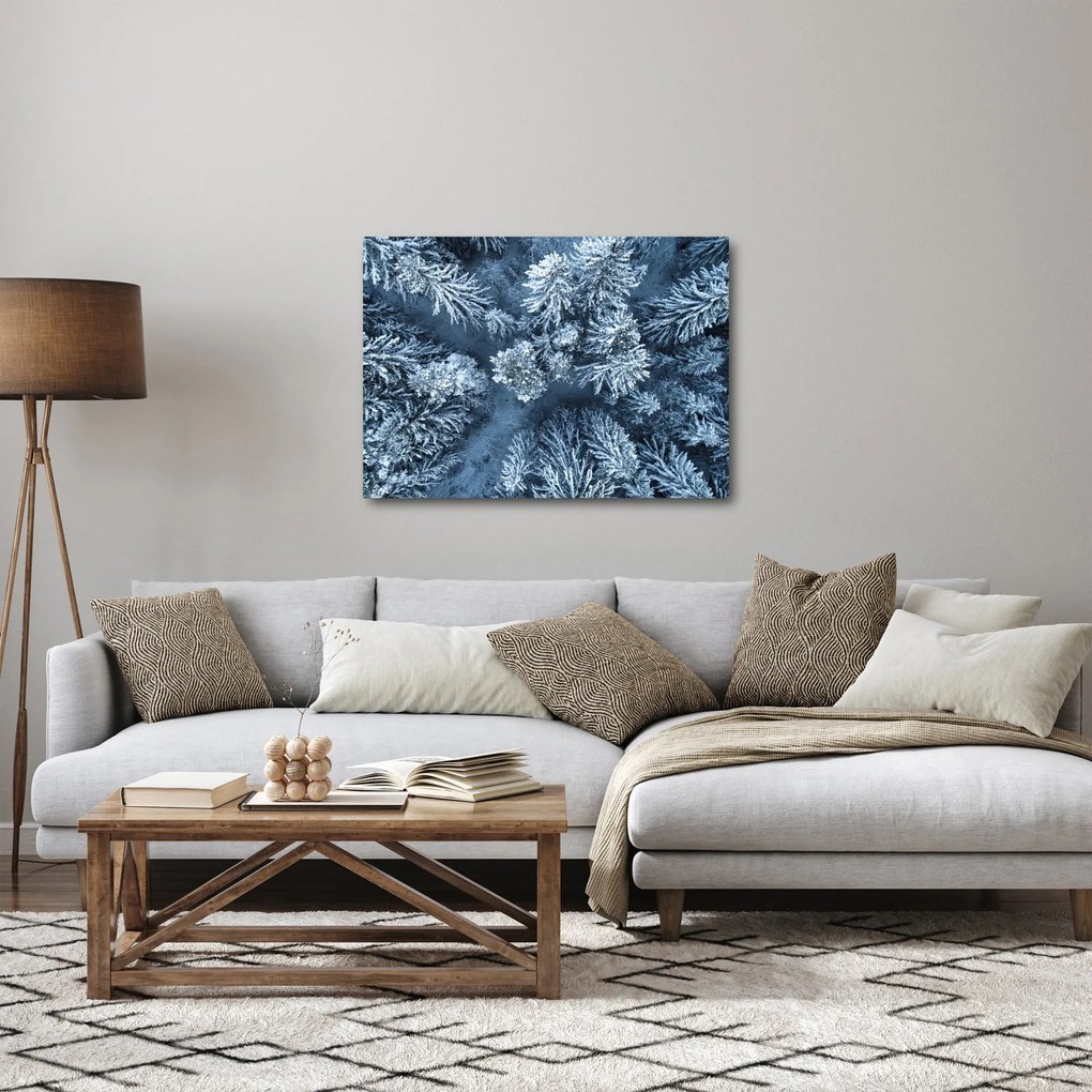 Tablou - Pădure înzăpezită (70x50 cm)