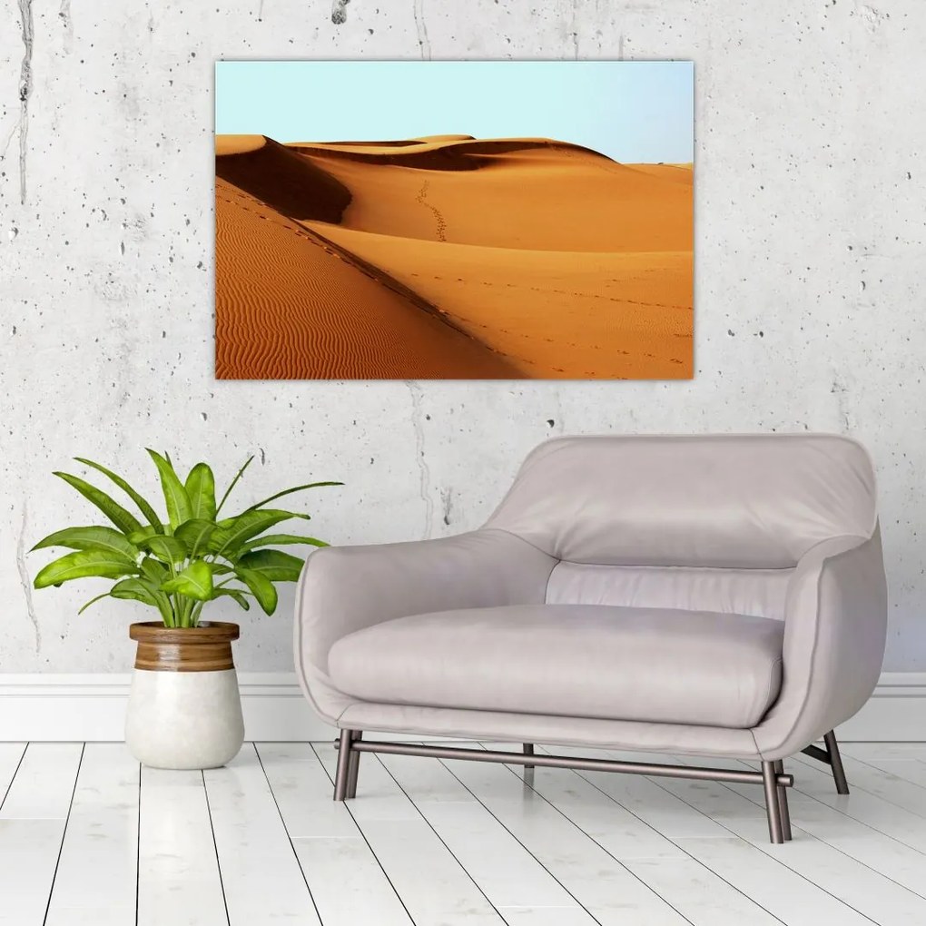 Tablou - Pași în deșert (90x60 cm)