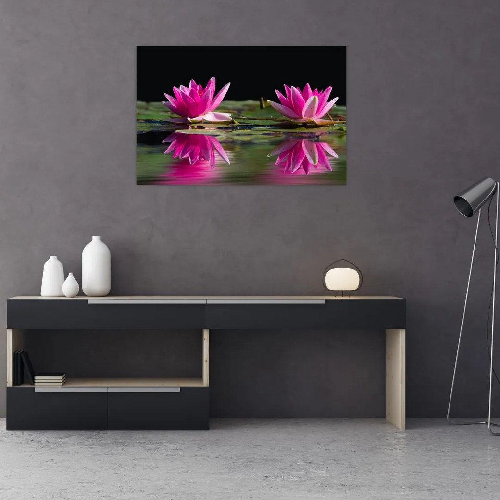 Tablou - Nuferi pe apă (90x60 cm)