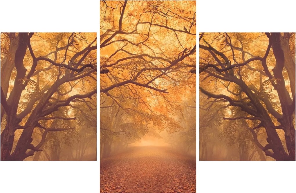Tablou - Peisaj de toamnă cu drum (90x60 cm)