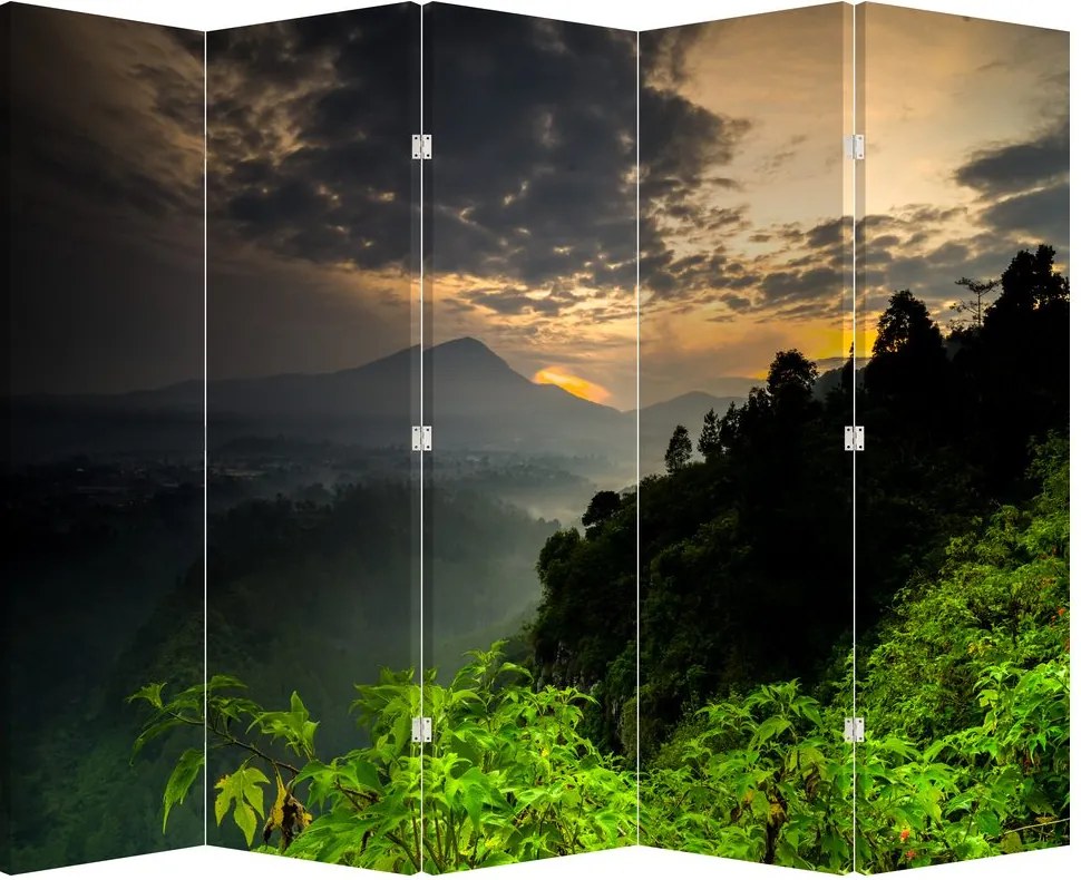 Paravan - Peisaj montan verde (210x170 cm)