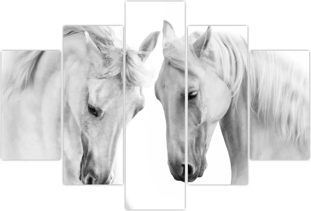 Tabou - Cai albi (150x105 cm)