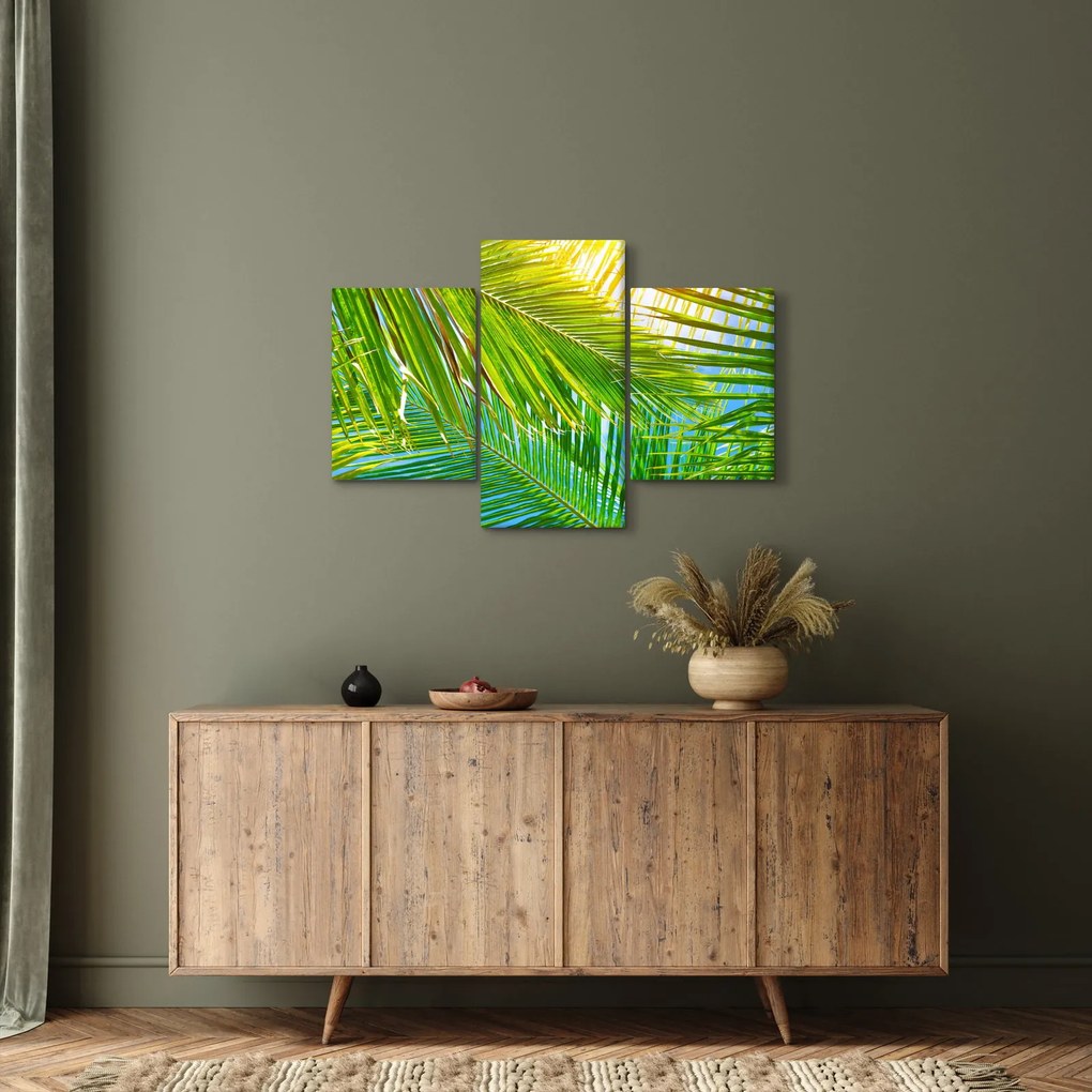 Tablou - Frunze de palmier (90x60 cm)