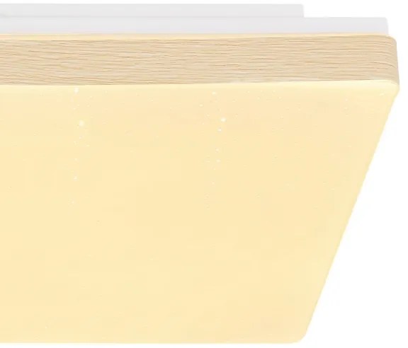 Plafonieră LED RAINA LED/12W/230V Globo 48296W