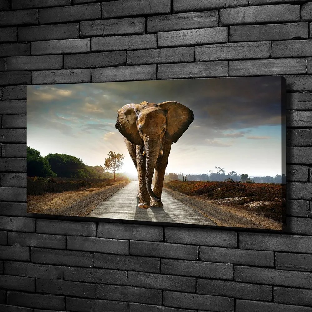 Tablou pe pânză Elefant de mers pe jos
