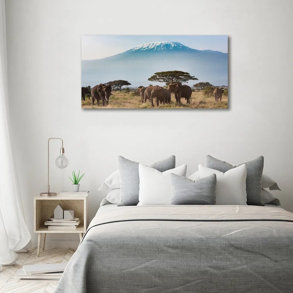 Print pe canvas Elefanți kilimanjaro