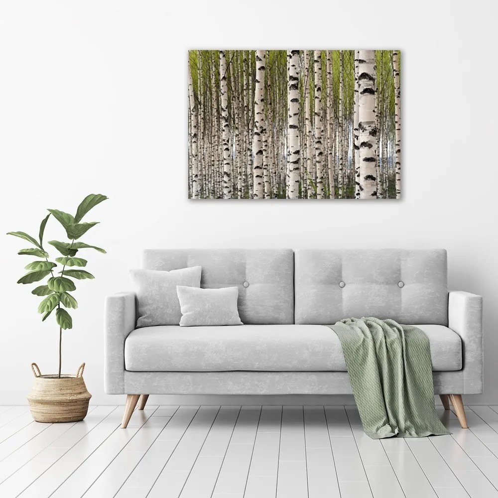 Print pe canvas Pădurea de mesteacăn