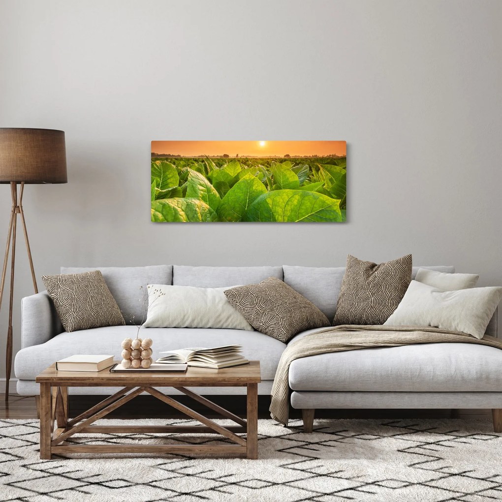 Tablou - Câmp (120x50 cm)