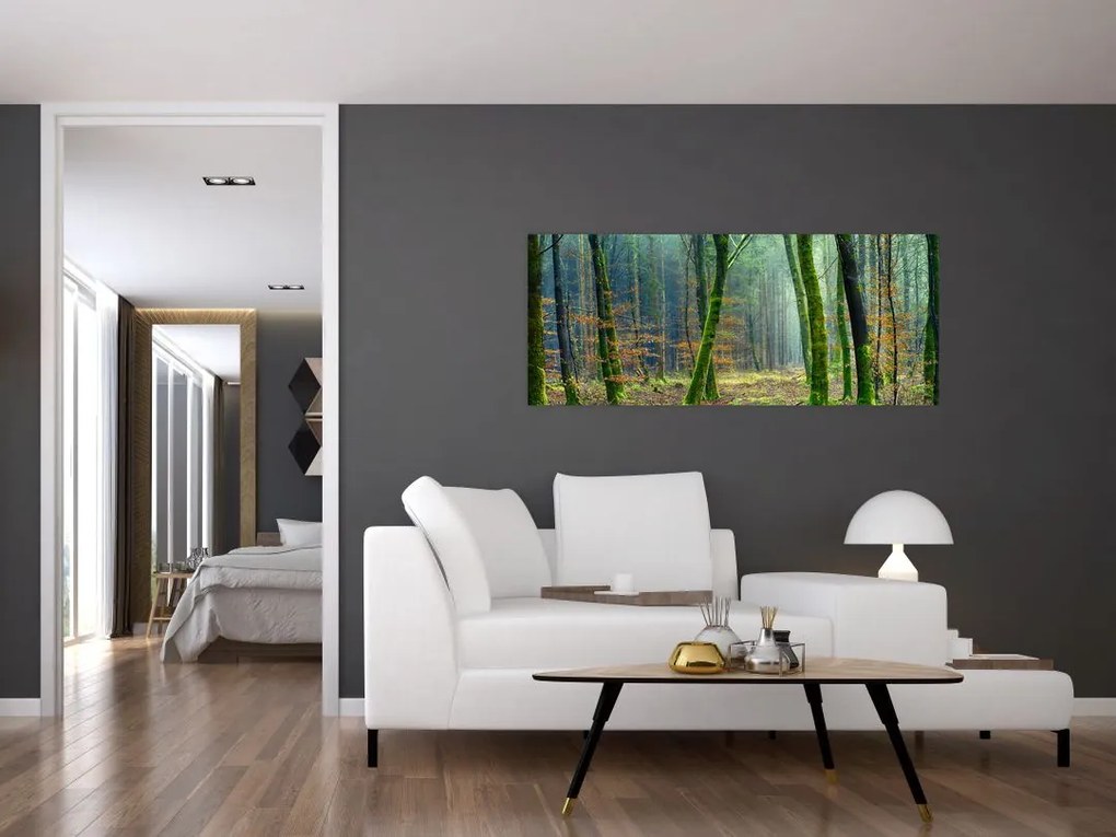 Tablou cu pădure (120x50 cm)