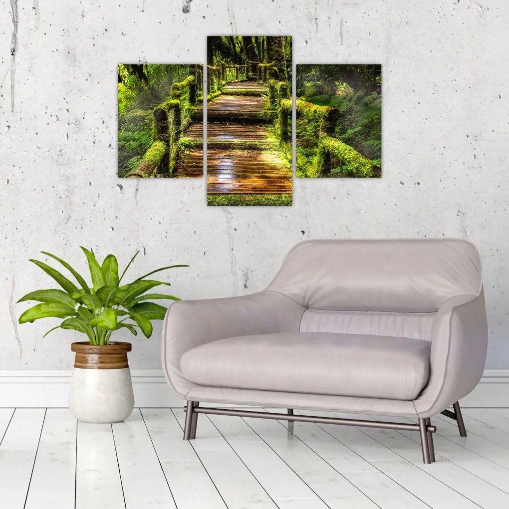Tablou cu scări într-o pădure tropicală (90x60 cm)