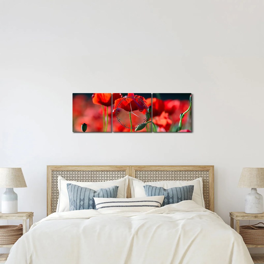 Tablou - flori de maci (cu ceas) (90x30 cm)