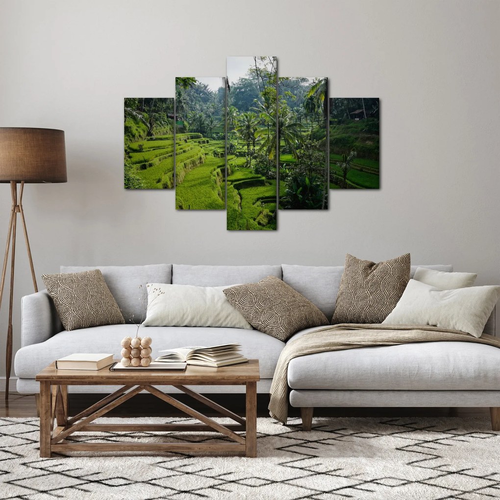 Tablou cu terasele cu orez Tegalalang, Bali (150x105 cm)