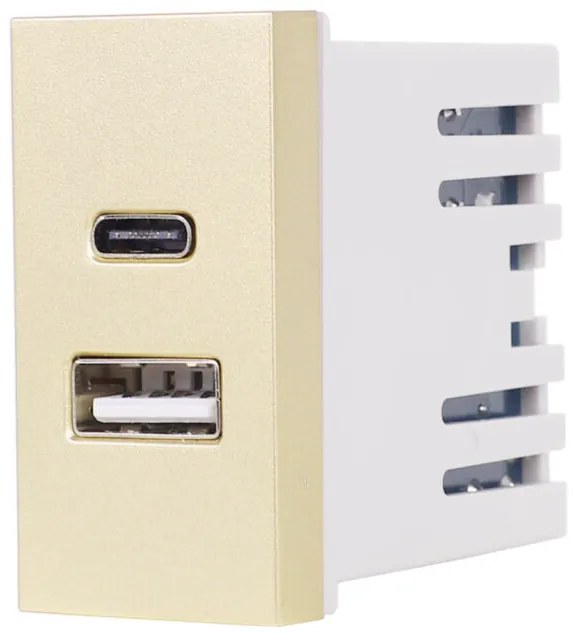 Modul Priza USB A+C 1M LUXION, Standard Italian