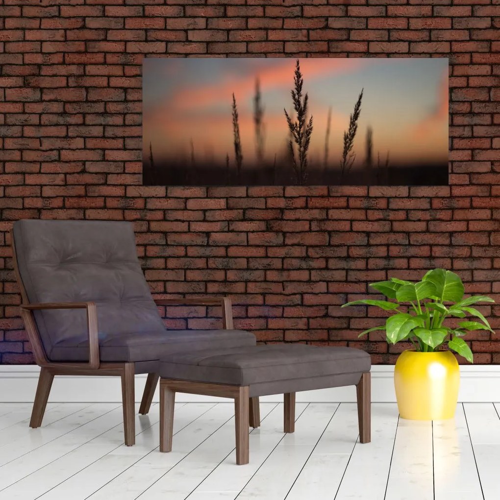 Tablou - Silueta plantei (120x50 cm)