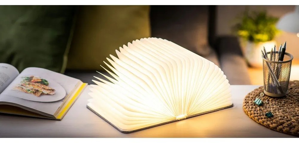 Decorațiune luminoasă gri cu USB Booklight – Gingko