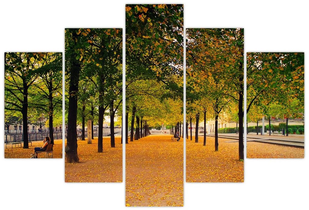 Tablou cu alee cu copaci în toamnă (150x105 cm)