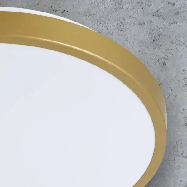 Plafonieră LED KERN LED/15W/230V d. 29 cm