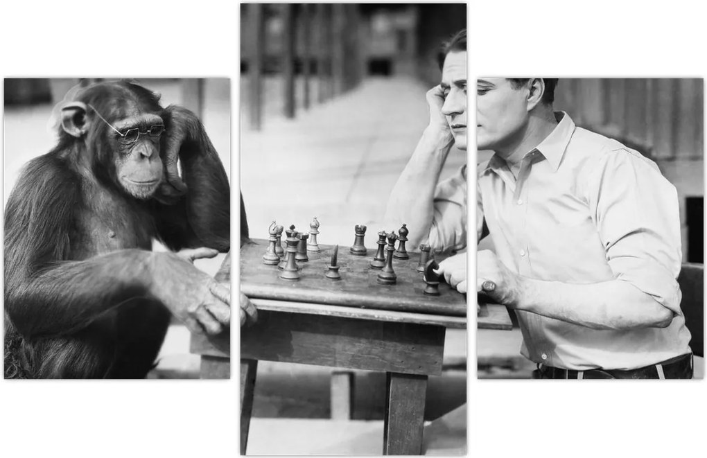 Tablou - Circ 2 (90x60 cm)