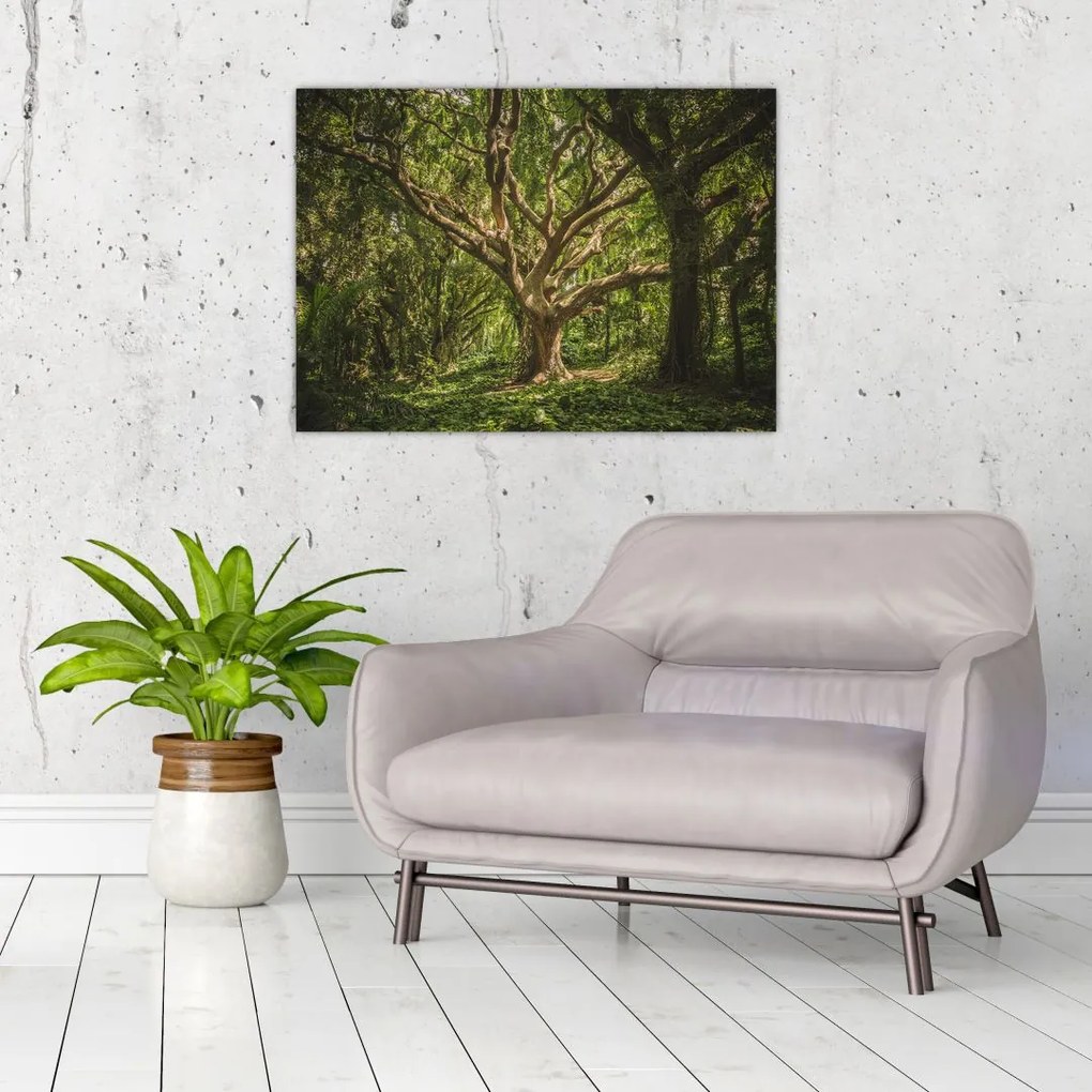 Tablou cu copaci (70x50 cm)