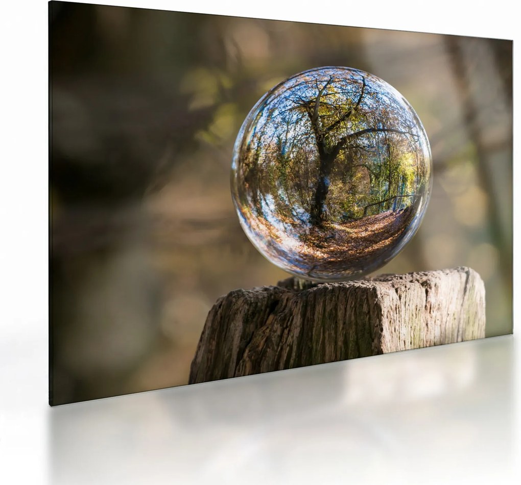 Tablou pe sticlă - Reflecție intr-o sferă transparentă (70x50 cm)