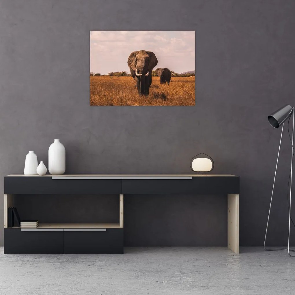 Tablou - Venirea elefantului (70x50 cm), în 40 de alte dimensiuni noi