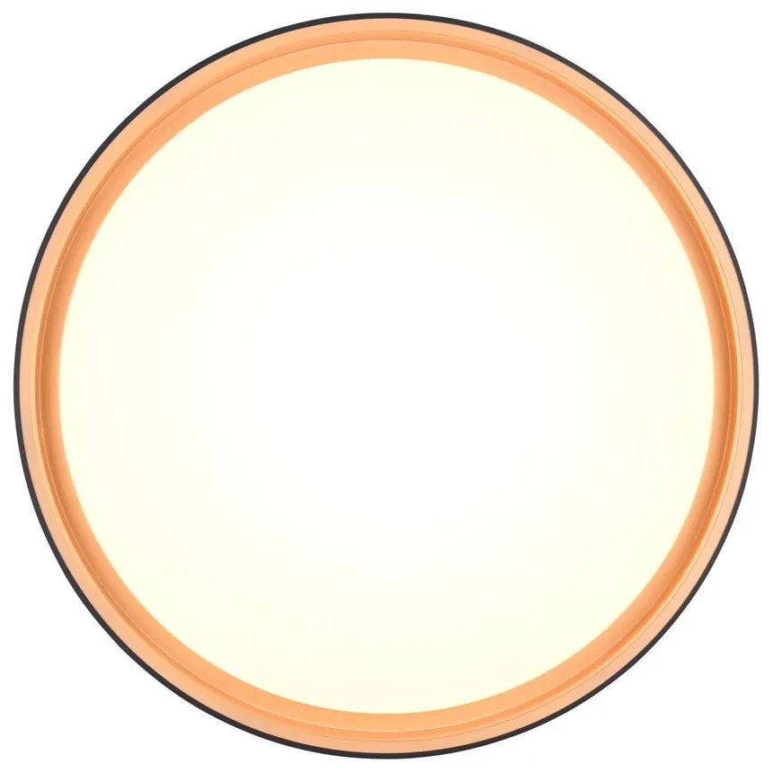 Plafonieră neagră LED ø 40 cm Felis – Reality