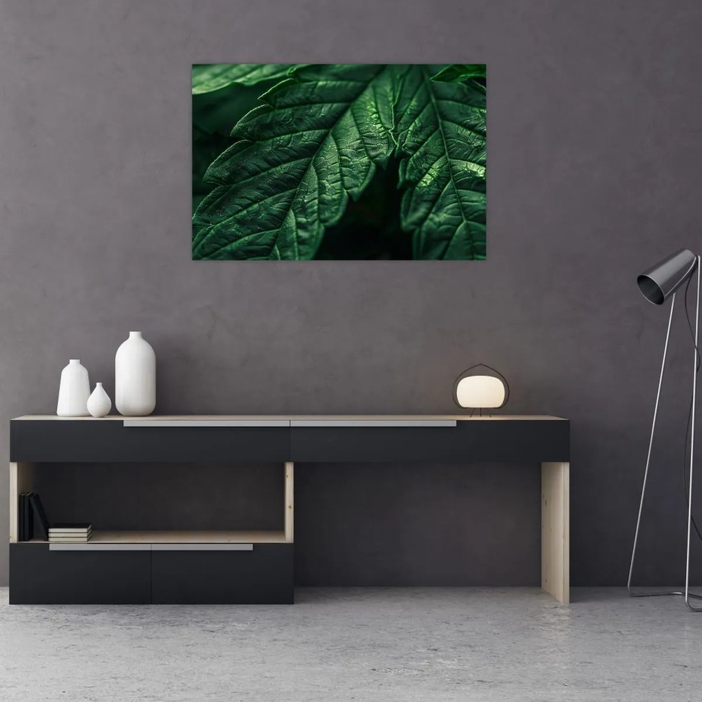 Tablou - Detaliu al foii (90x60 cm)