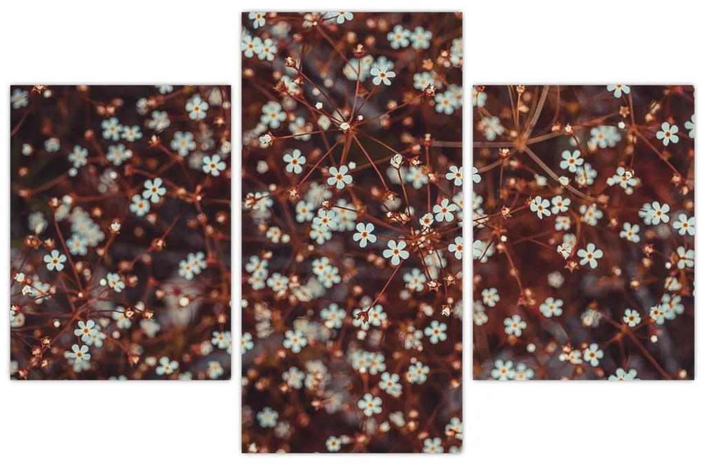 Tablou cu floare de nu mă uita (90x60 cm)