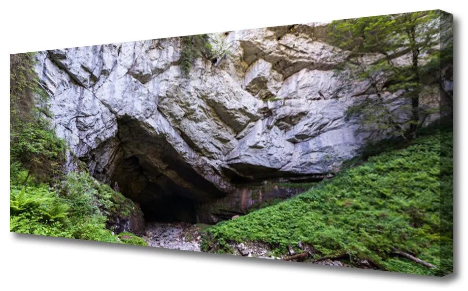 Tablou pe panza canvas Munte Cave Natura Verde Gri