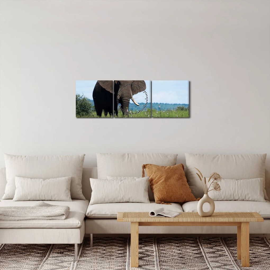 Tablou cu elefant (cu ceas) (90x30 cm)
