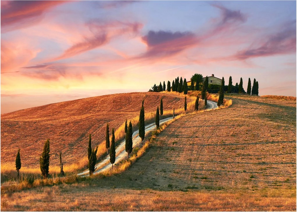 Tablou - Casa pe deal Toscana, Italia (70x50 cm)