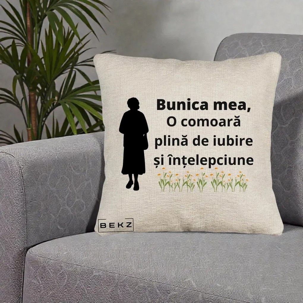 Cadou pentru Bunica - Perna Personalizata Bunica Mea Comoara Iubire Intelepciune Silueta cu Nepoata, 40x40 cm, Bej Canapea, Husa Detasabila, Perna Inclusa, BEKZ®