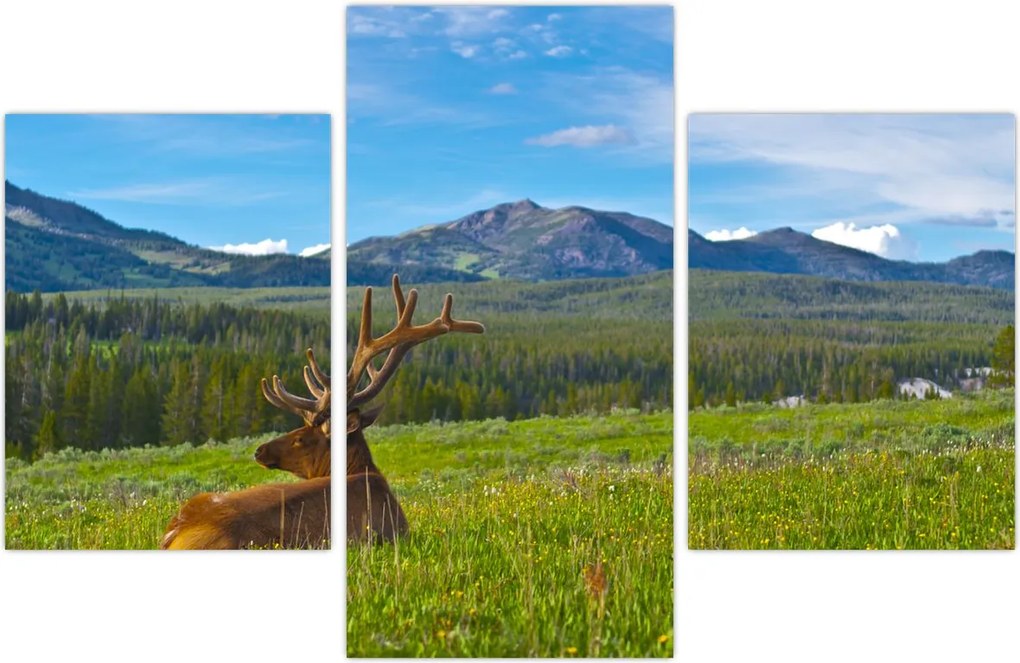 Tablou - Cerb în luncă (90x60 cm)