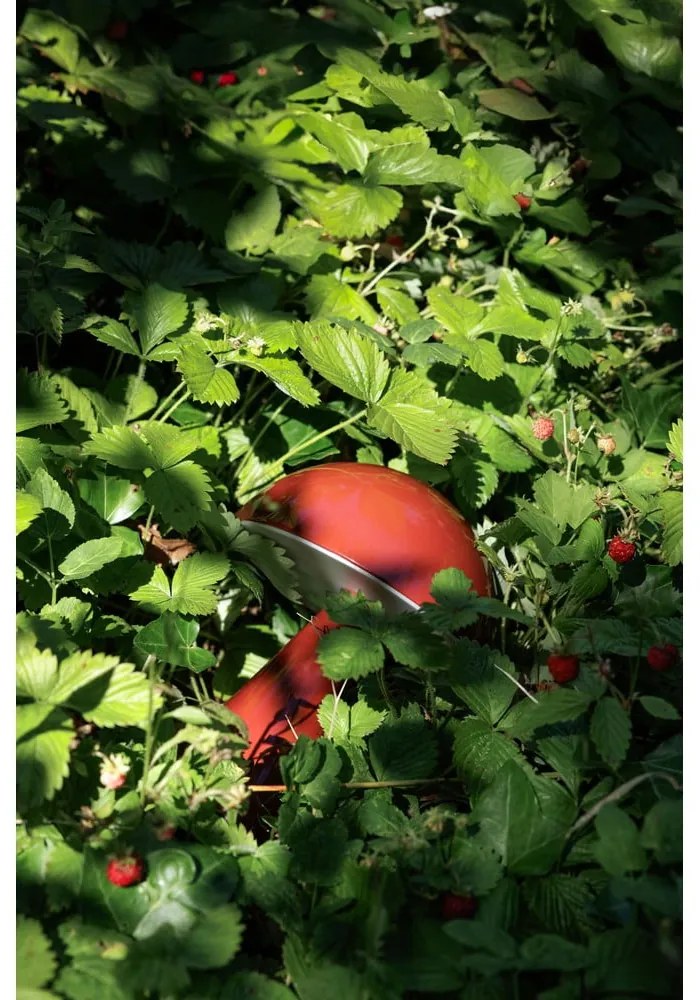 Veioză roșie LED cu intensitate reglabilă (înălțime 20 cm) Mush – Hübsch